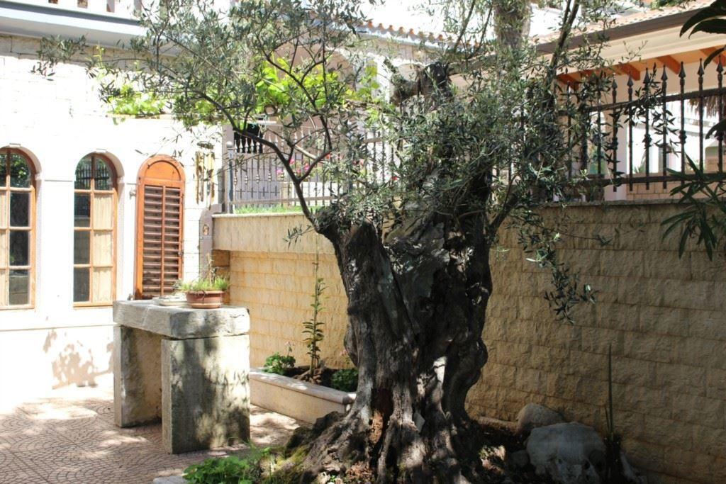 Apartment Maras Poreč Pokój zdjęcie